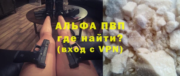гидра Богородицк