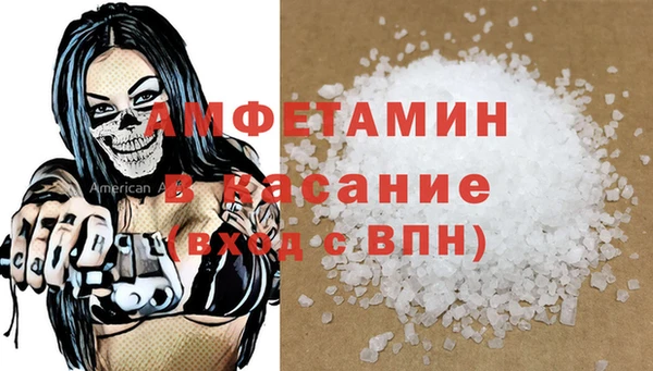 гидра Богородицк