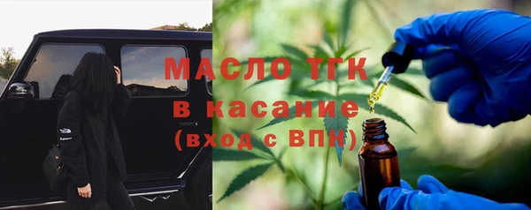 гидра Богородицк