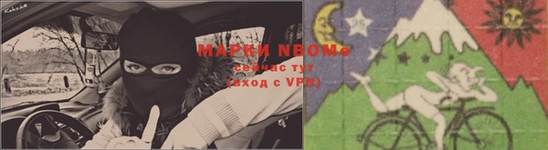 Альфа ПВП Сосновый Бор