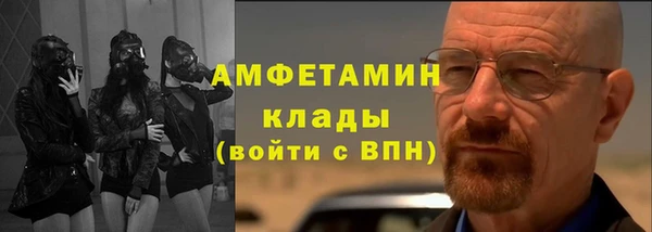 гидра Богородицк