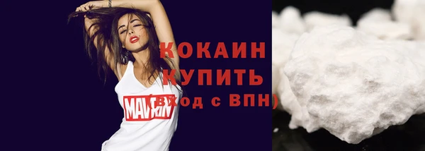 мдпв Бронницы