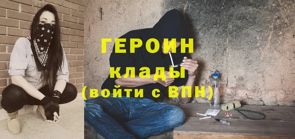 гидра Богородицк