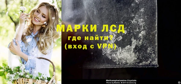 гидра Богородицк