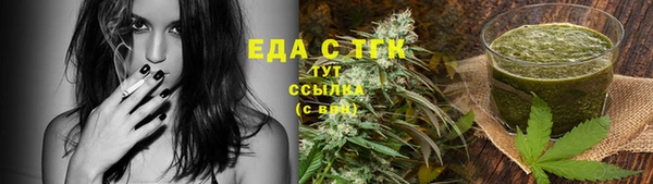 гидра Богородицк