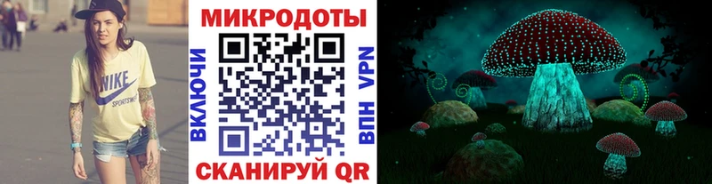 Псилоцибиновые грибы мухоморы  даркнет сайт  Закаменск 