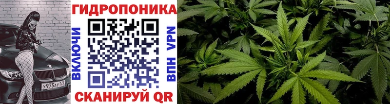 Канабис White Widow  купить   Закаменск 